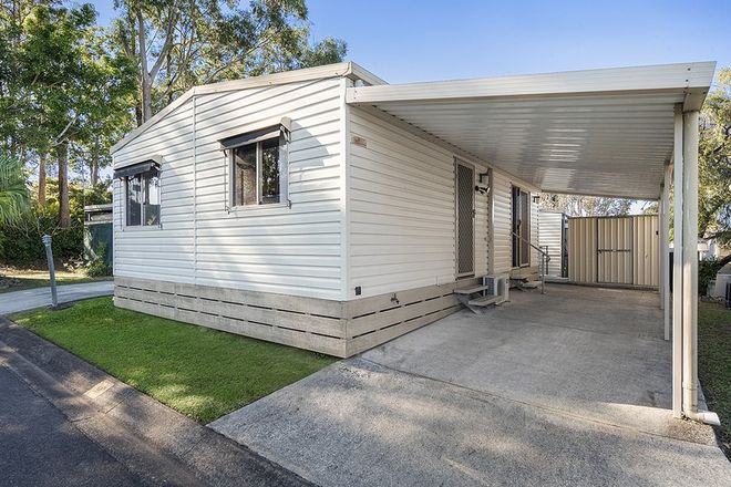 Picture of 17B/570 Pine Ridge Road, COOMBABAH QLD 4216