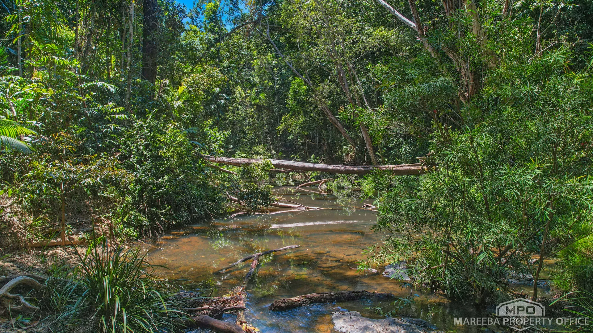 Image 35