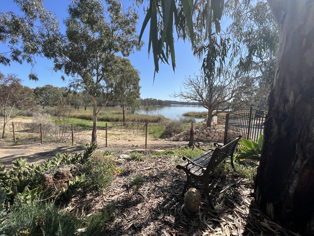 5117 Angas Valley Road, Forster Landing, Walker Flat SA 5238 Domain