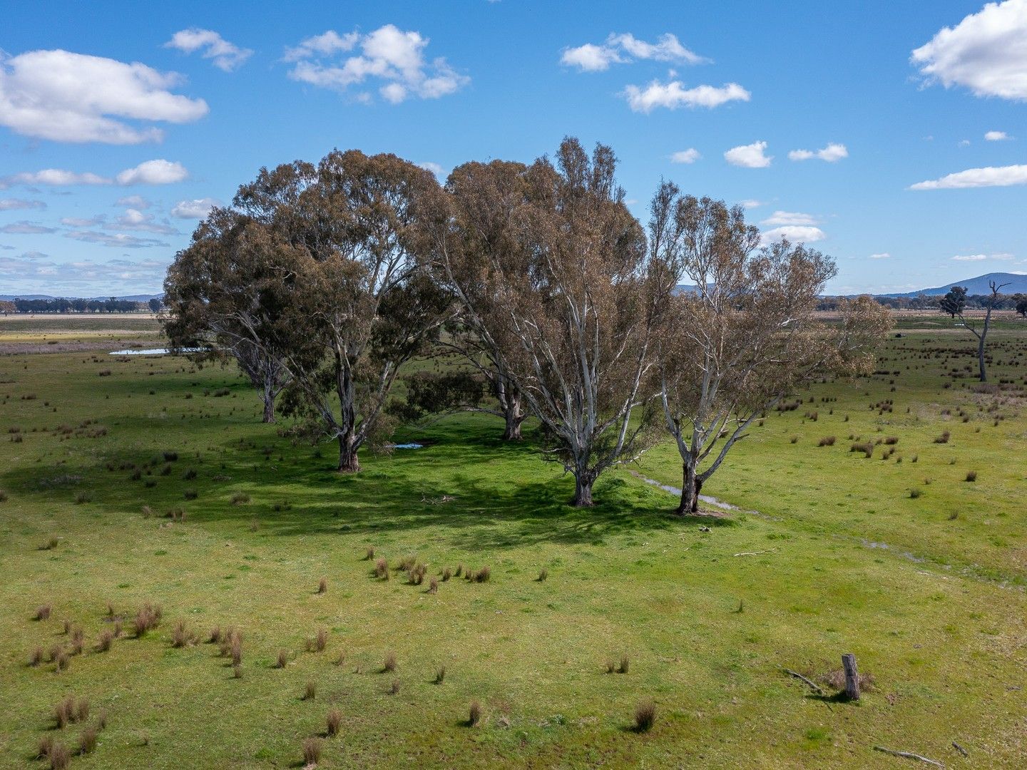 145 Alexanders Lane, Docker VIC 3678, Image 0