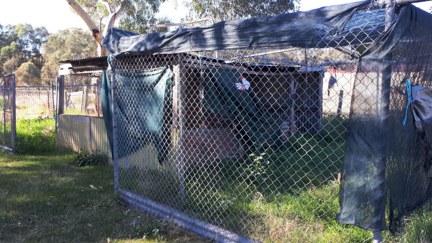 Image 11