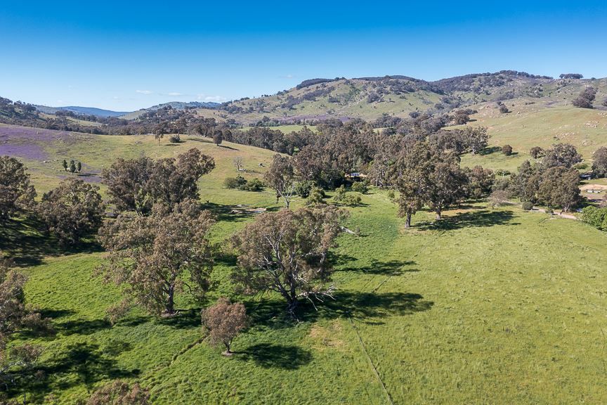 Lot 2 Long Gully Road, Violet Town VIC 3669, Image 0