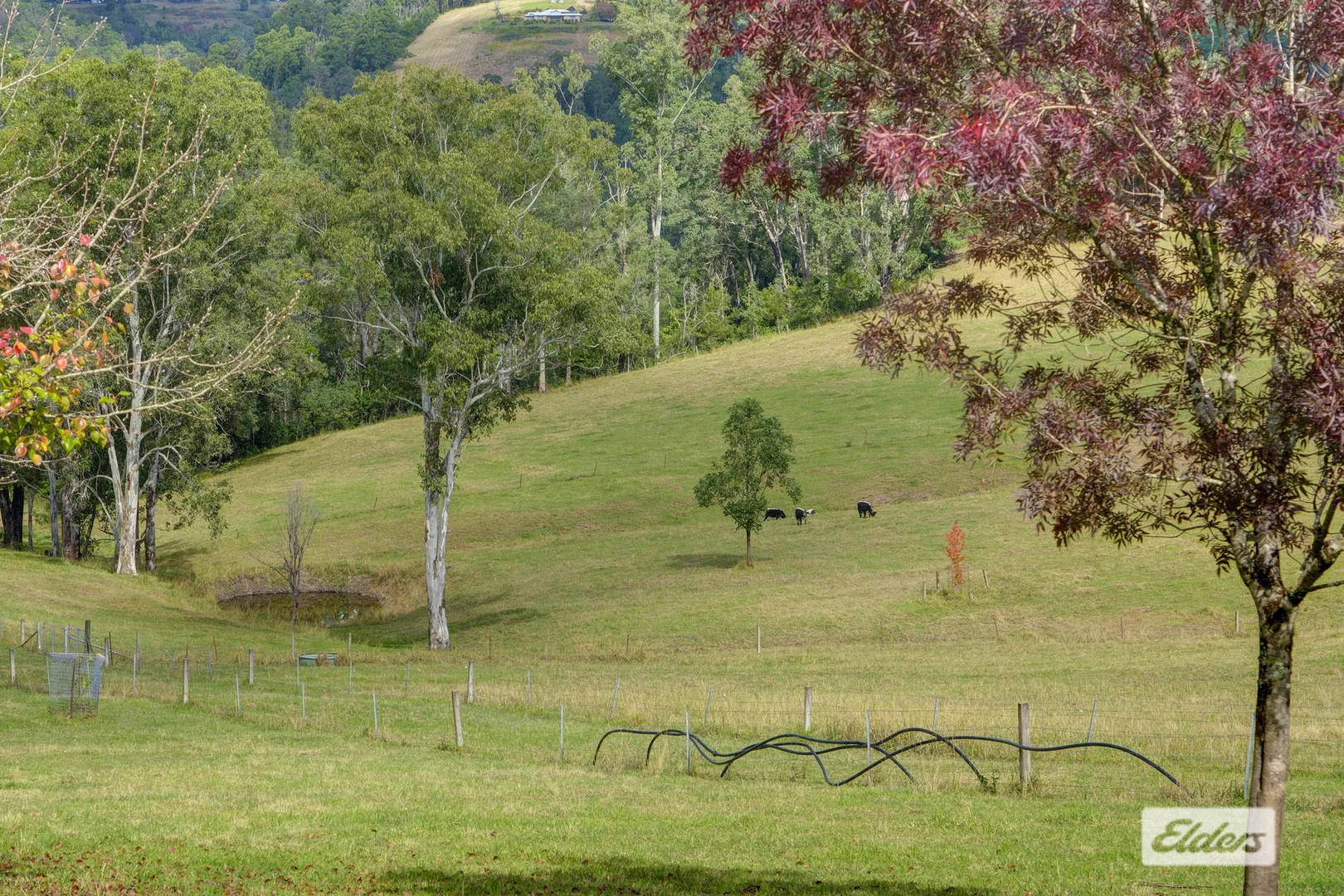 Image 16
