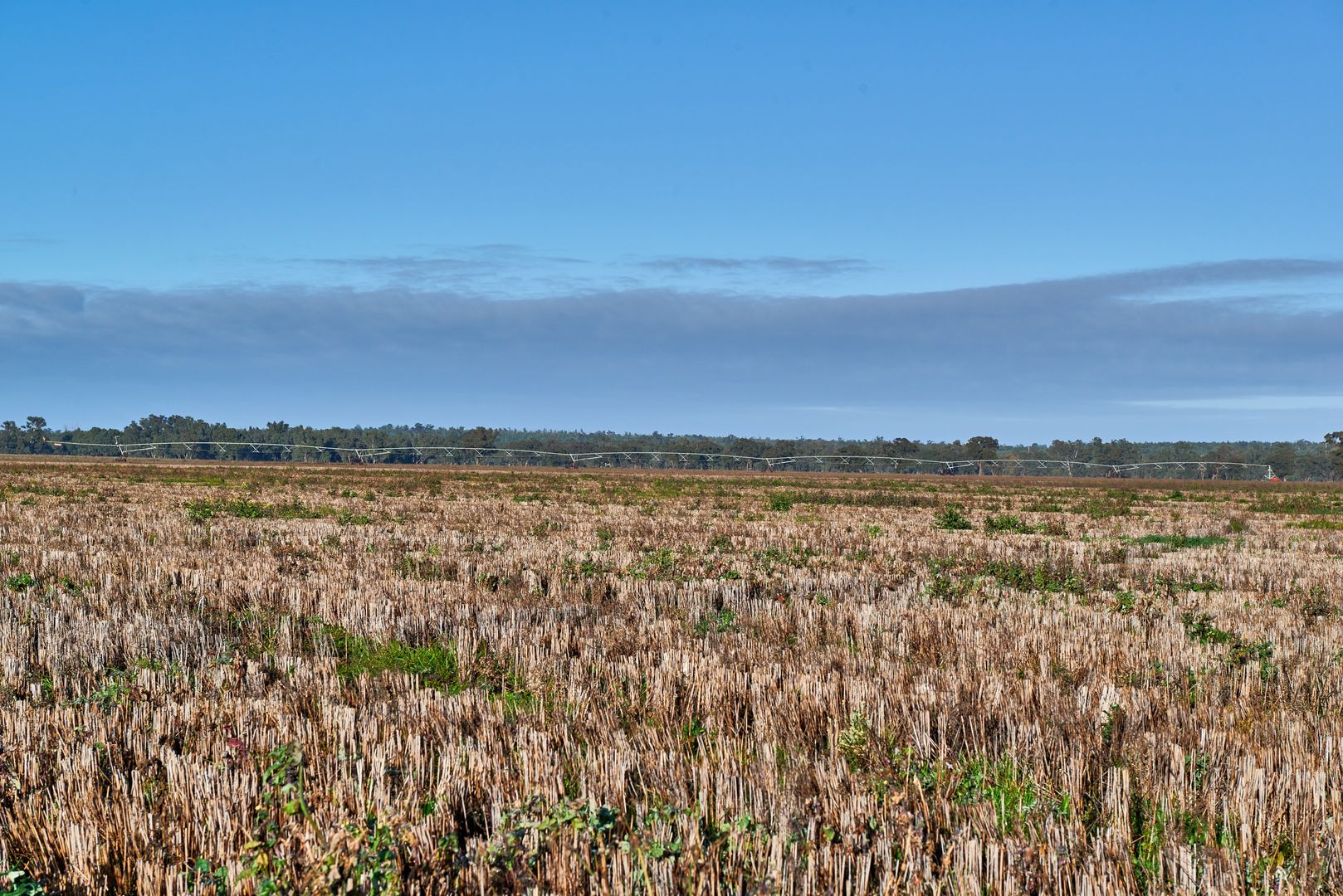 8813 Sturt Highway, Narrandera NSW 2700, Image 1