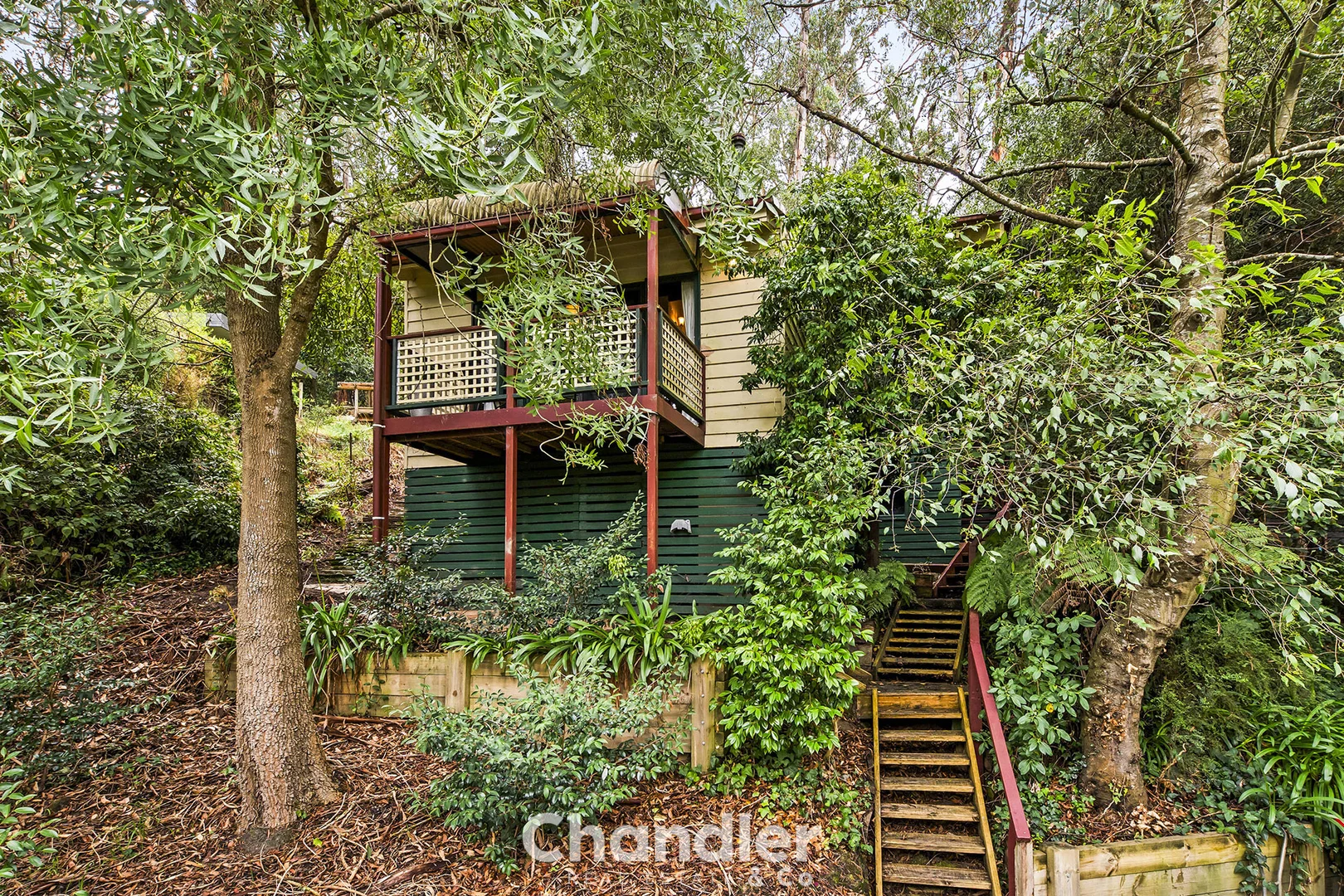 Additional image 15 of 48 McNicol Road, Belgrave VIC 3160