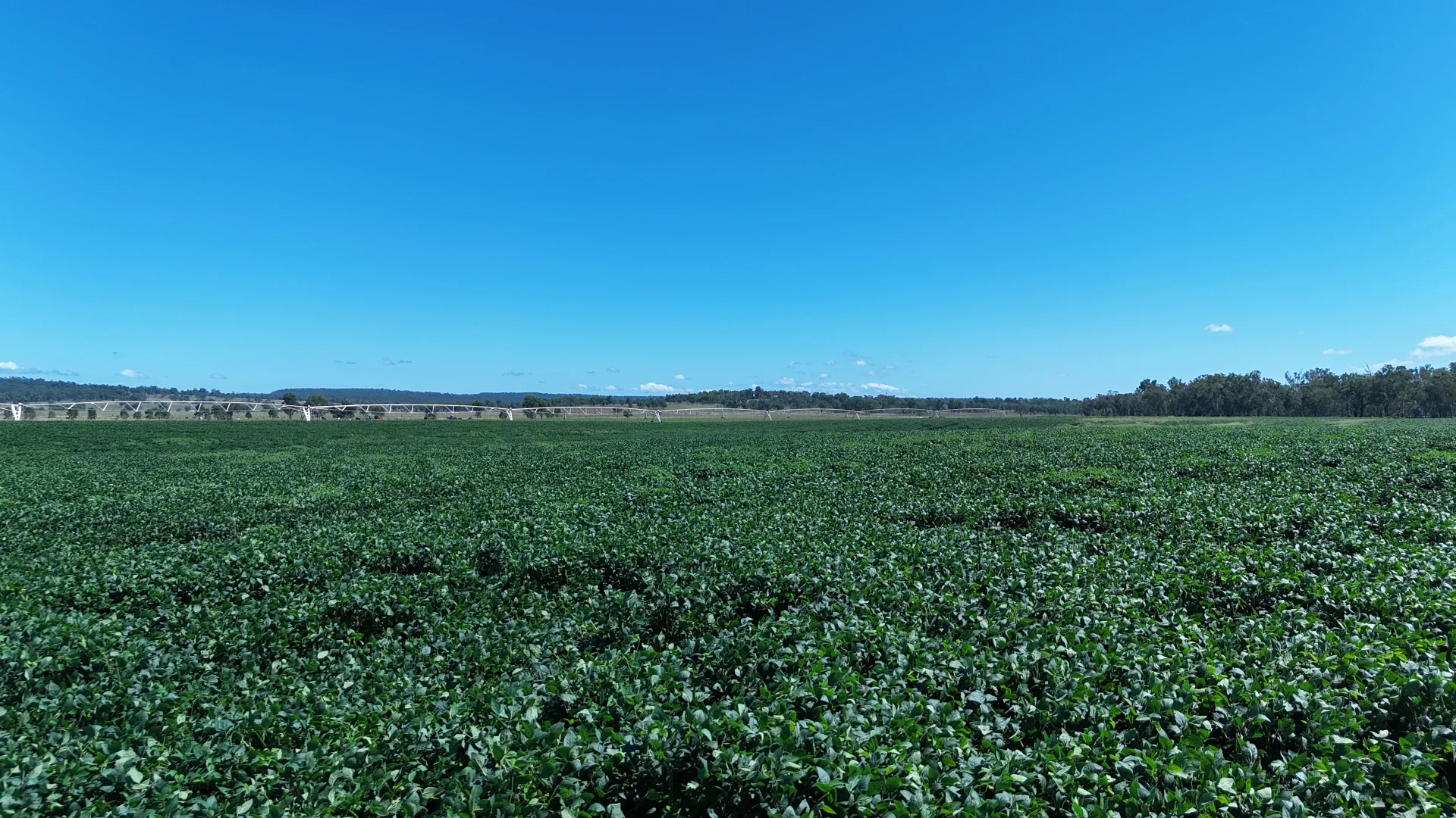 Additional image 2 of 24962 Burnett Highway, Ceratodus QLD 4627
