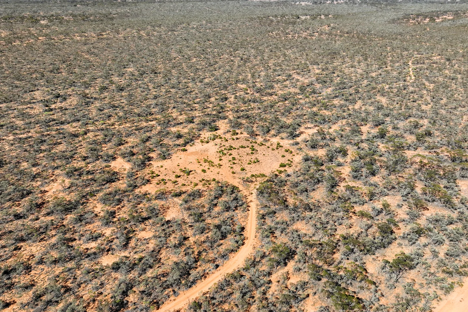 Additional image 10 of 652 Caddy Road, Loveday SA 5345