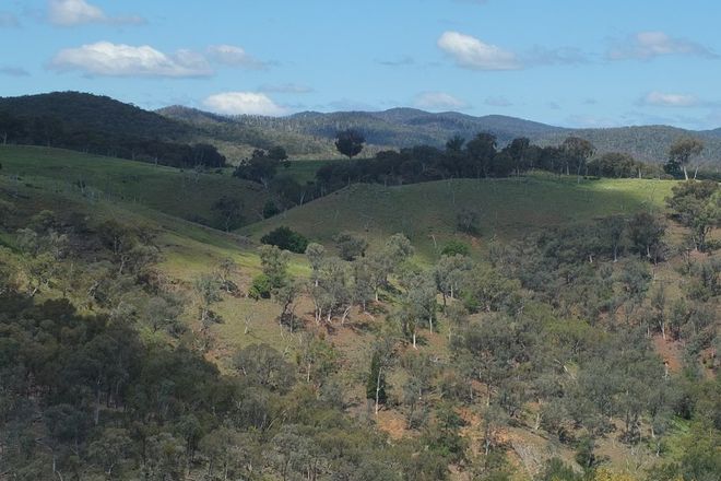 Picture of 1785 Kentucky Road, NEVILLE NSW 2799