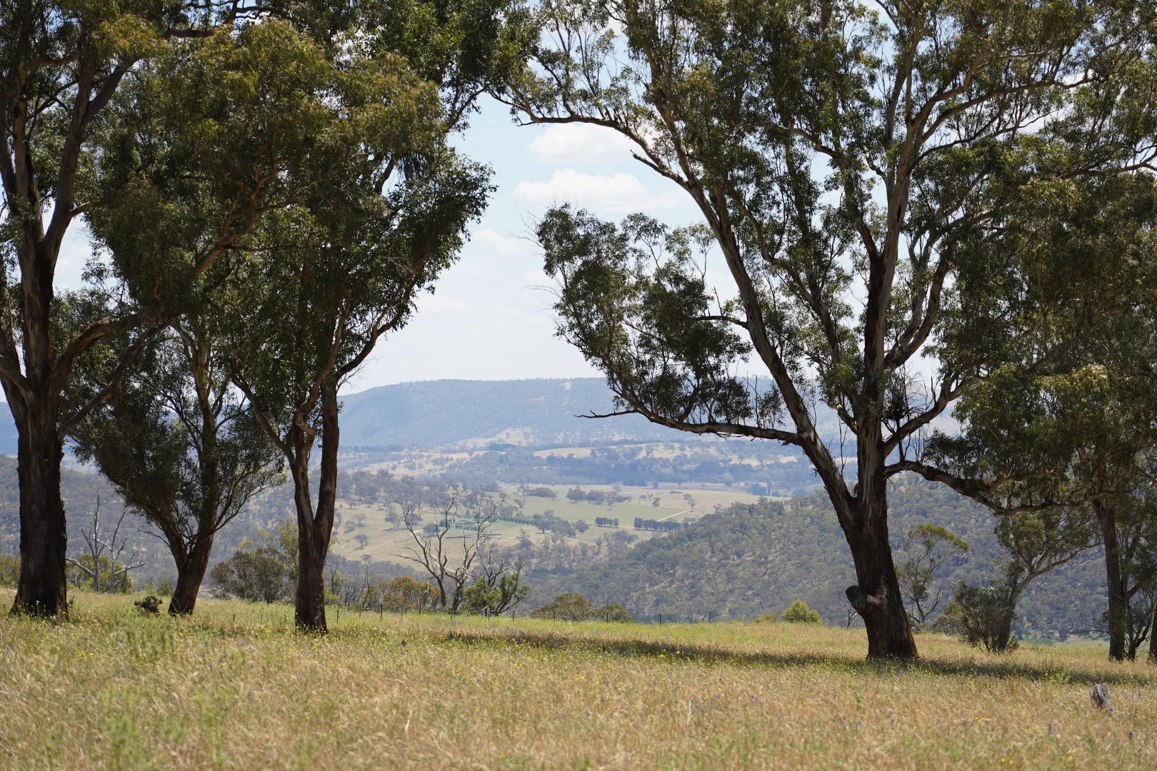 Additional image 7 of 410 Honeysuckle Falls Road, Tarana NSW 2787