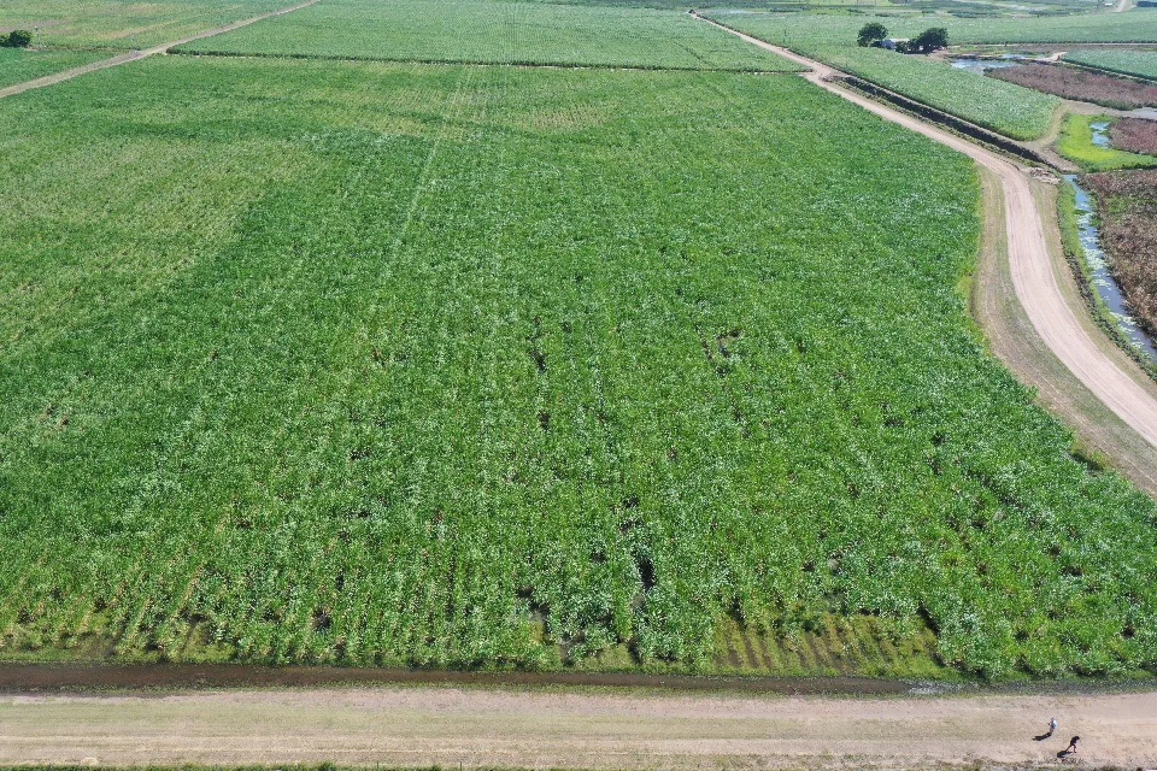 Additional image 5 of 449 Trent Road, Alva QLD 4807