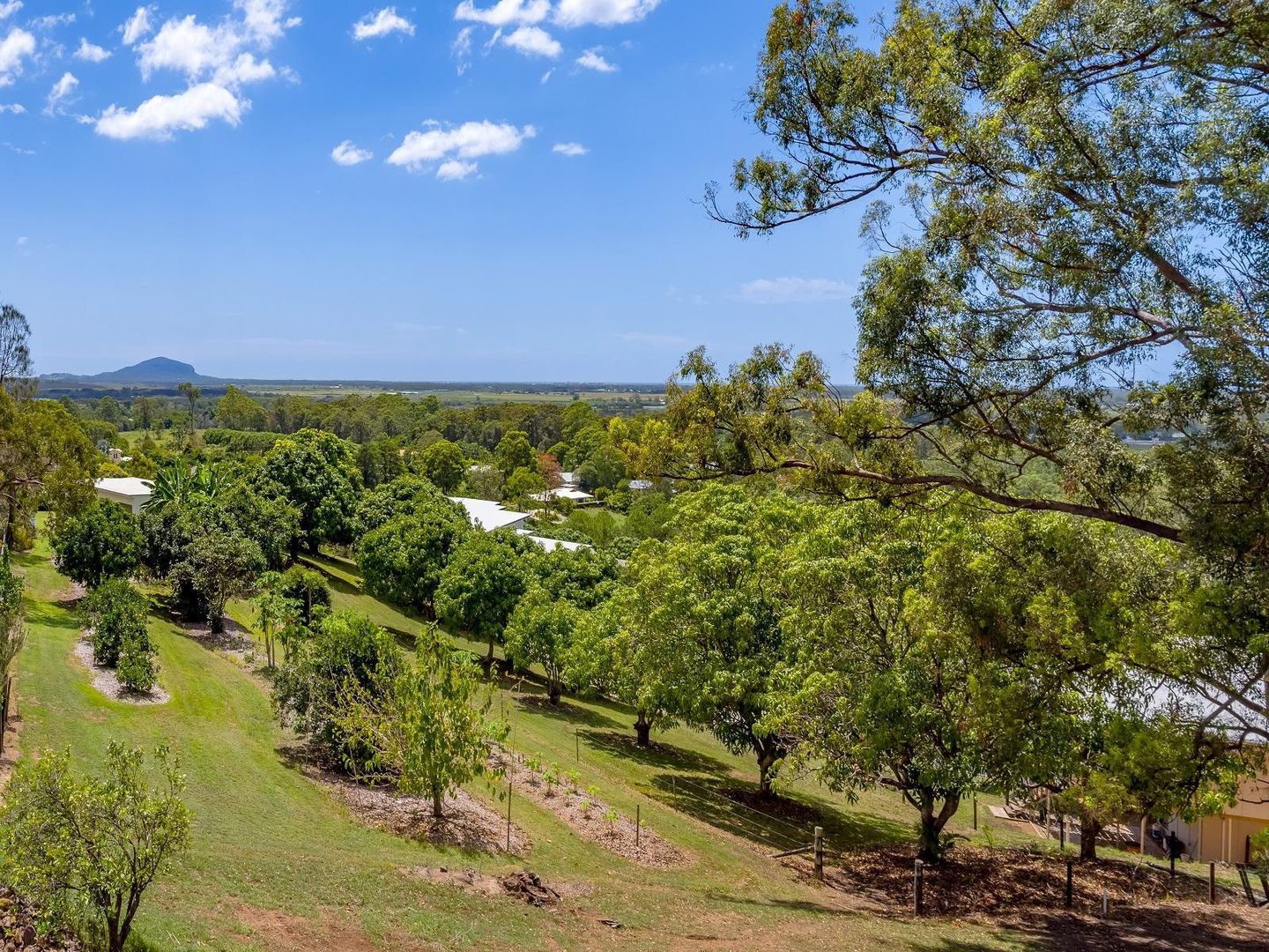 770-774 Diddillibah Road, Diddillibah QLD 4559, Image 2