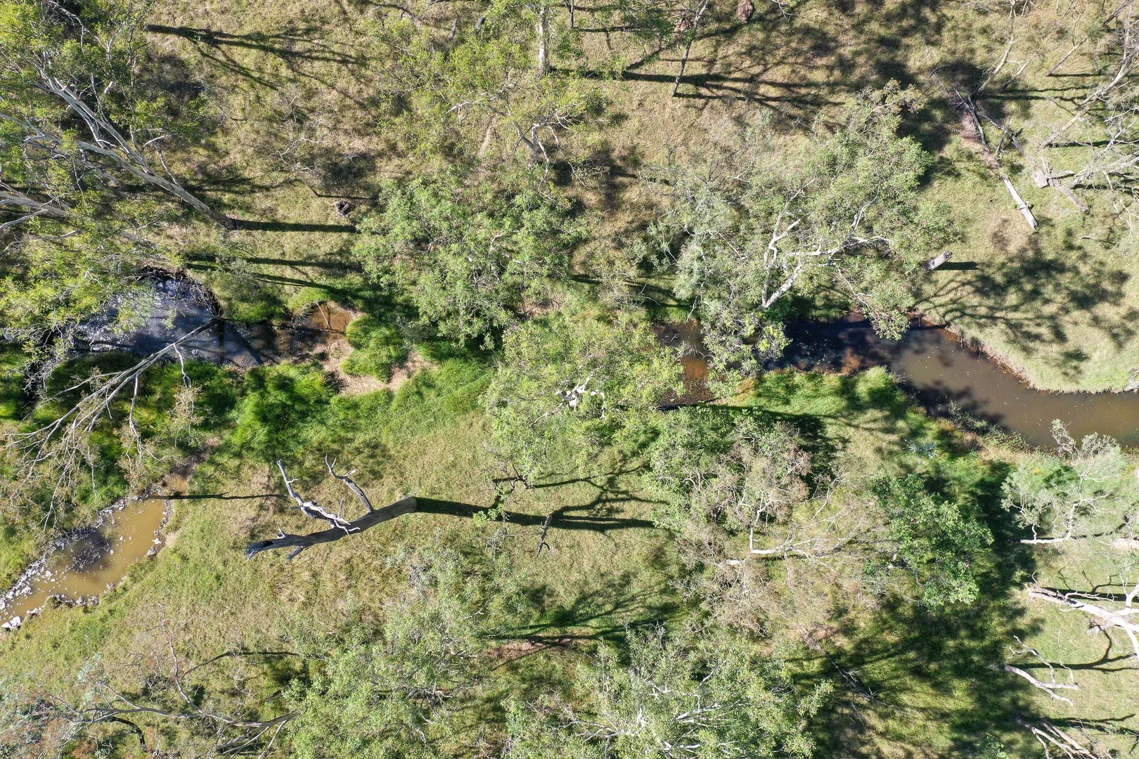 Additional image 8 of Lot 65 Cunningham Highway, Mutdapilly QLD 4307