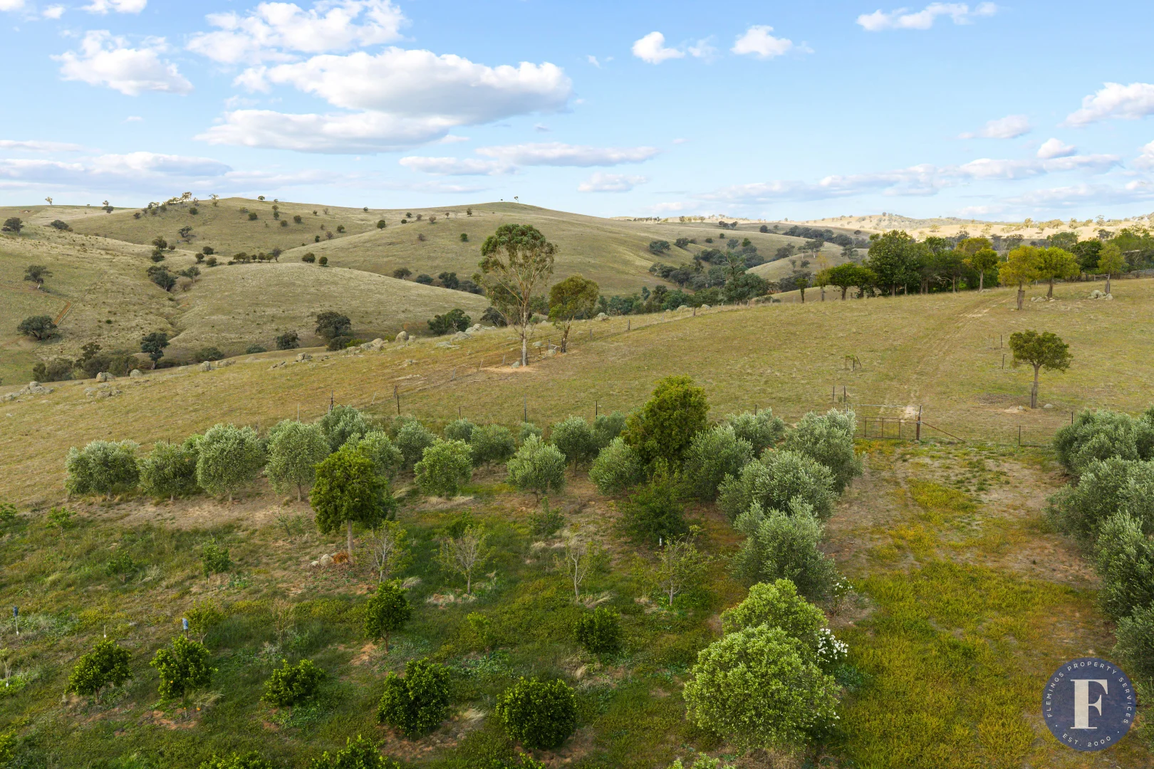 Additional image 18 of 438 Ironbark Lane, Boorowa NSW 2586