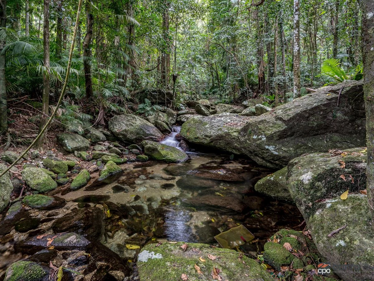 Additional image 2 of 834 Kruckow Road, East Russell QLD 4861