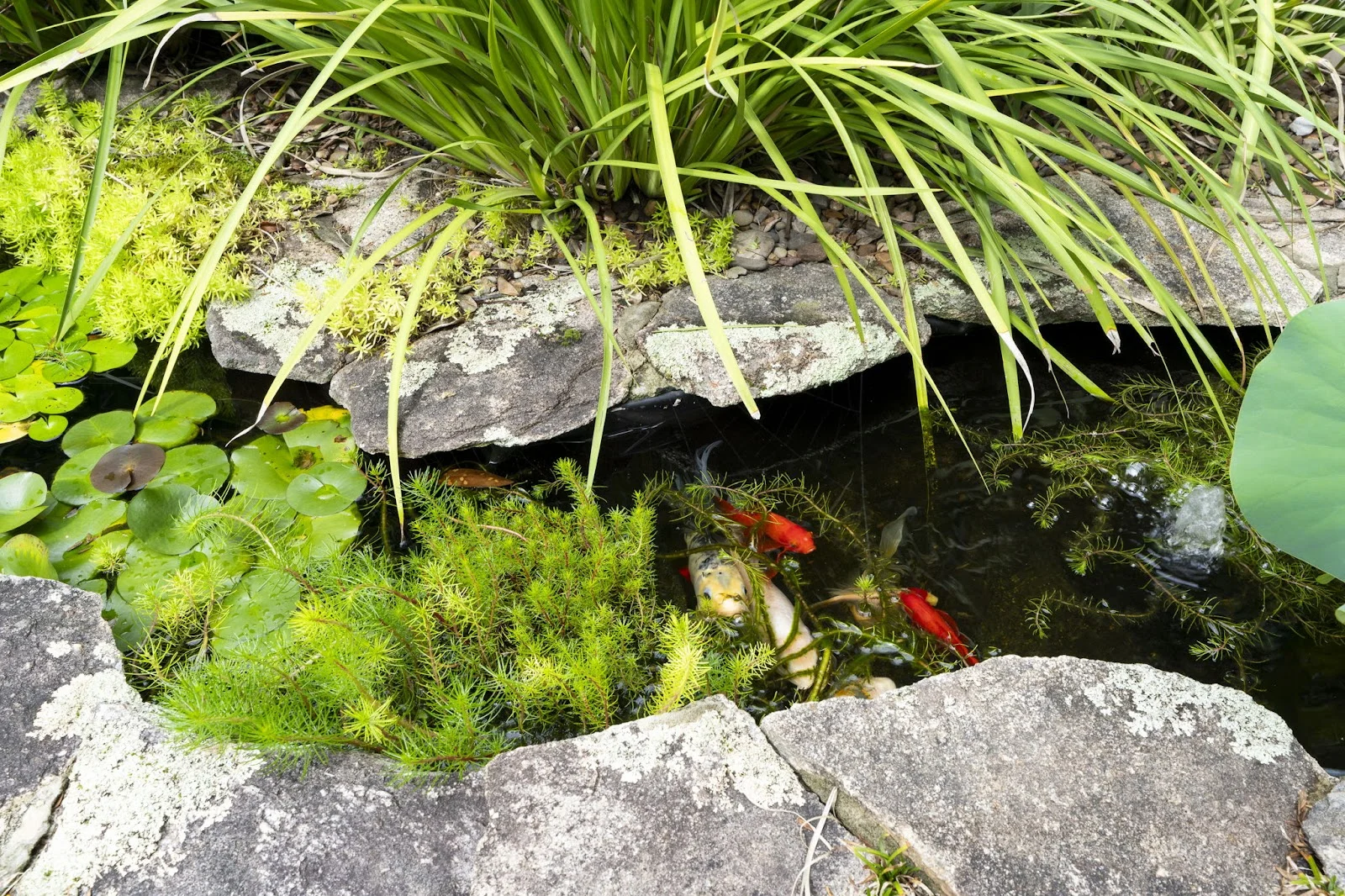 Image 17