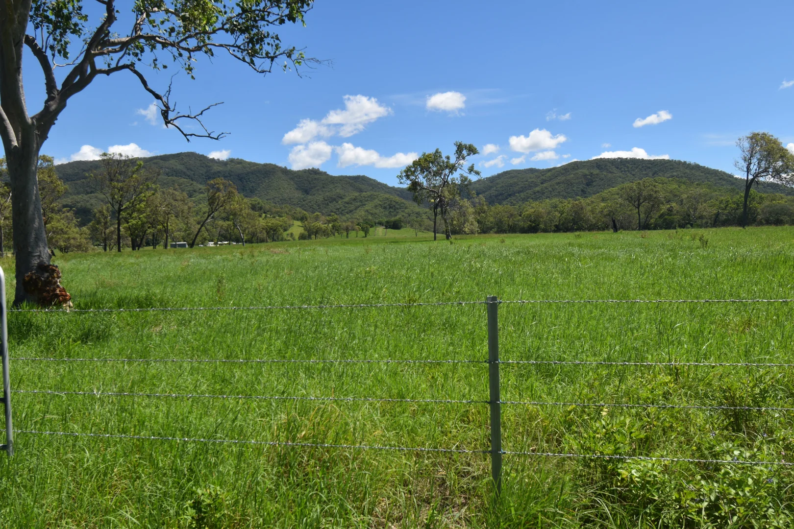 Image 10