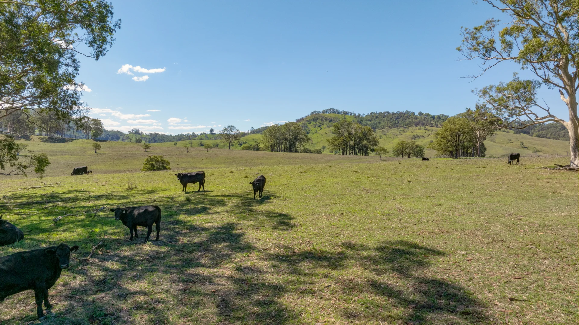 Additional image 13 of 1993 Glendonbrook Road, Gresford NSW 2311