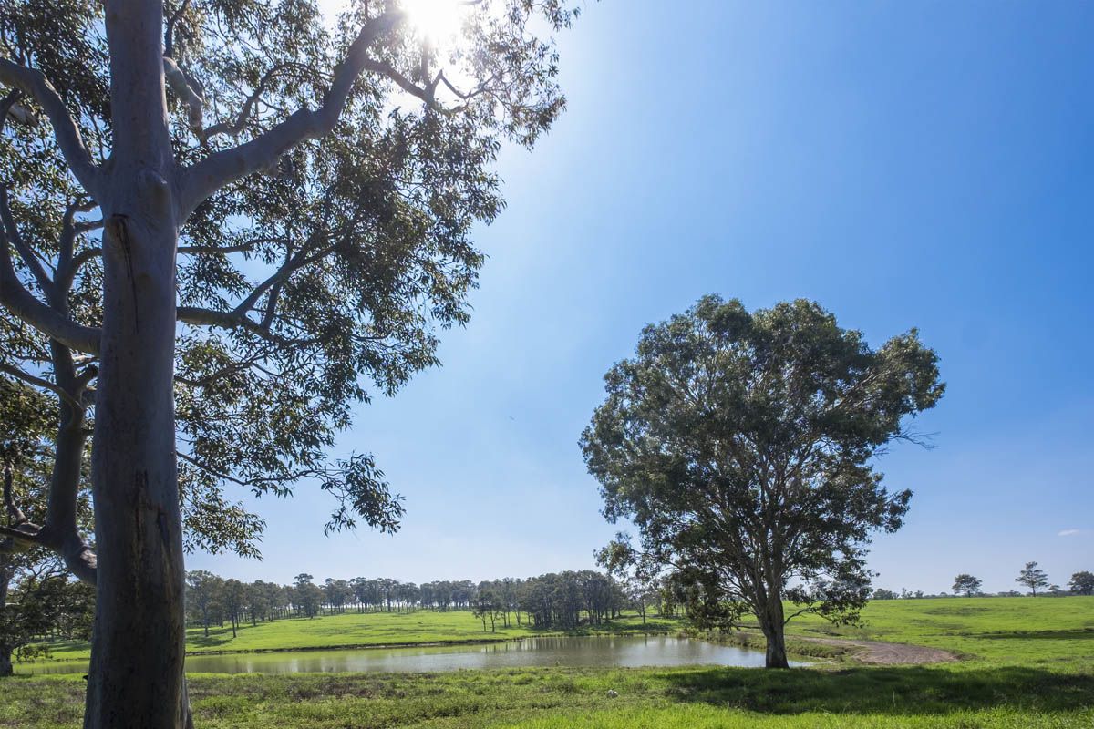 Lot 1107 Wicklow Road, Chisholm NSW 2322, Image 1