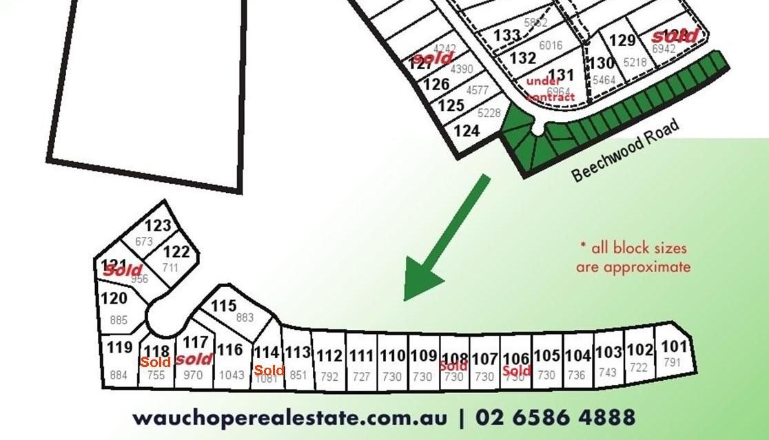 Lot 132 Beechwood Meadows Stage 2, Beechwood NSW 2446, Image 2