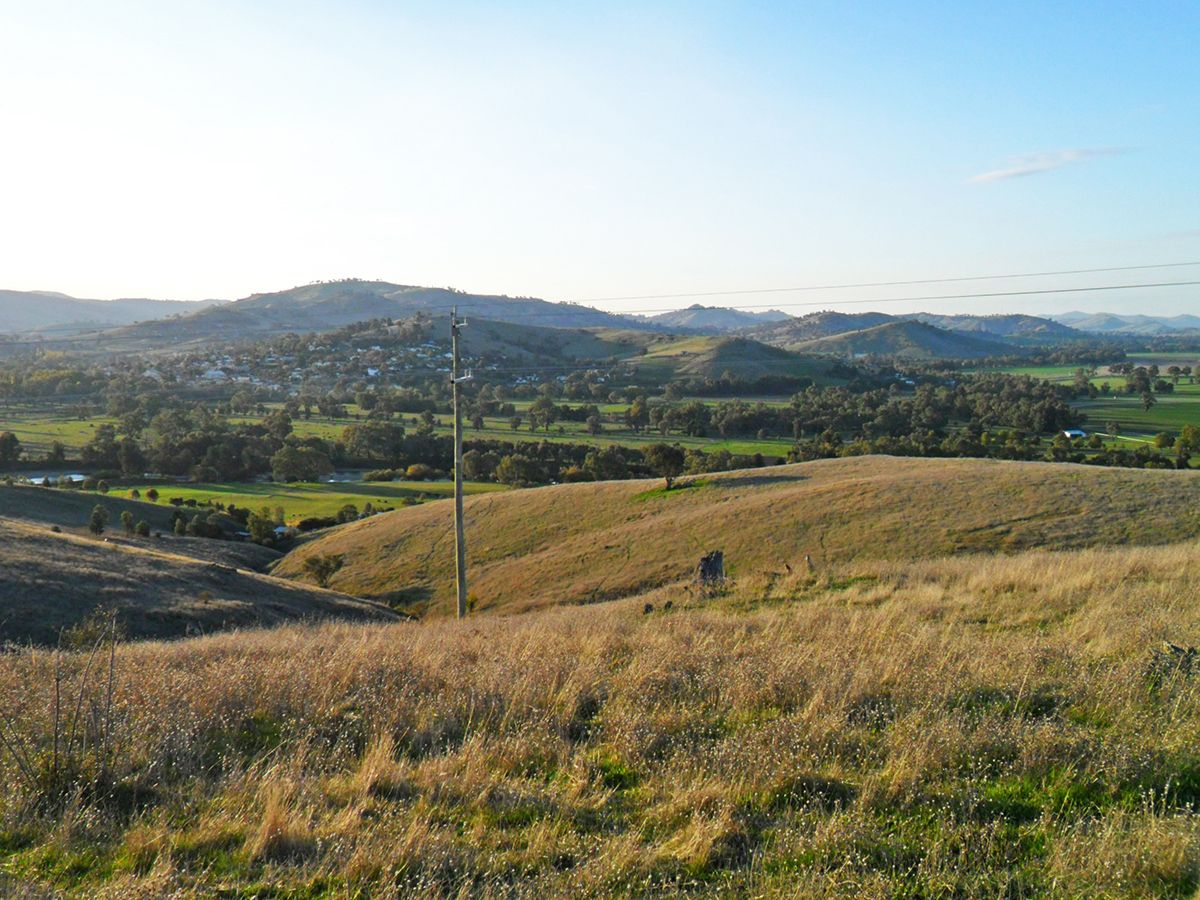 Lot 2 Springfield Lane, Gundagai NSW 2722, Image 0