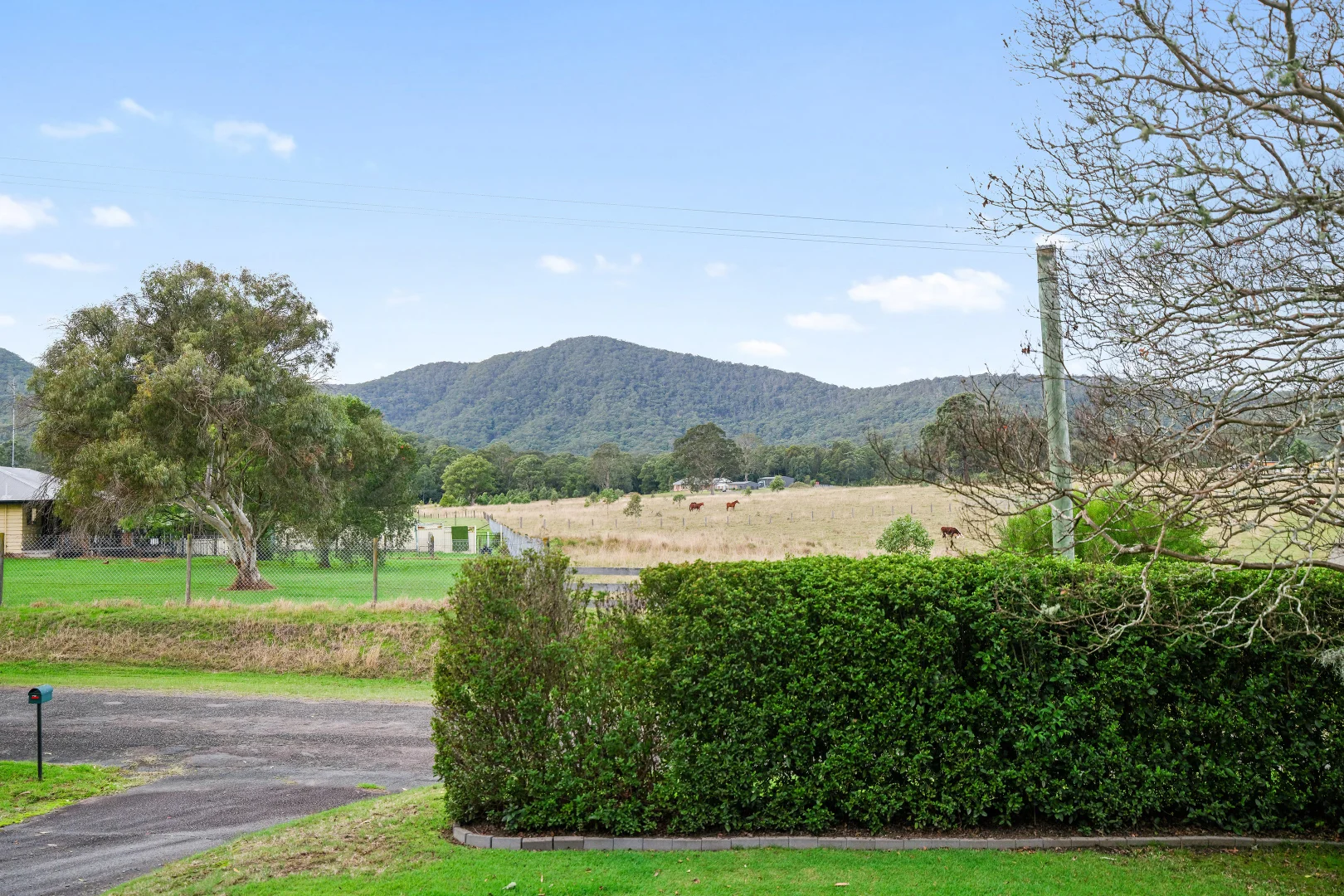 Image 14