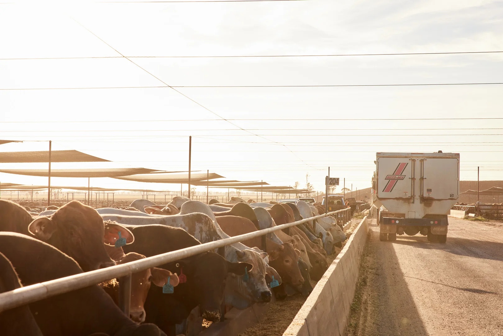 Additional image 5 of 556 Grassdale Road, Springvale QLD 4405