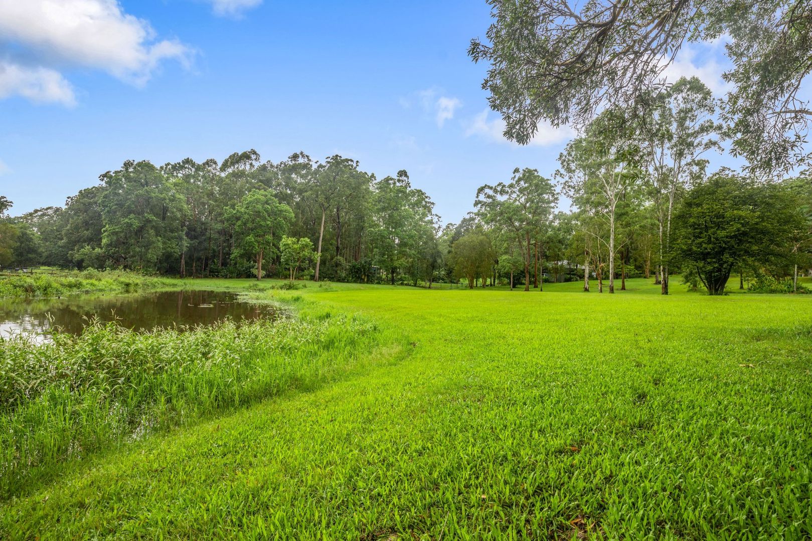 407 Connection Road, Mooloolah Valley QLD 4553, Image 2