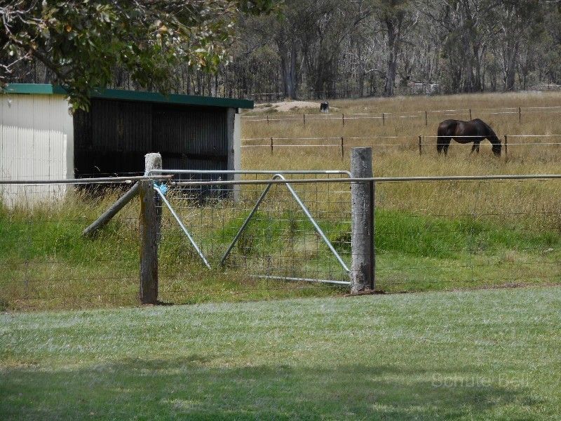 Emmaville NSW 2371, Image 0