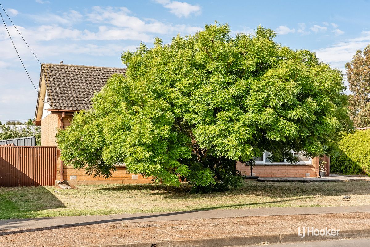 12 Crabb Road, Smithfield Plains SA 5114, Image 2