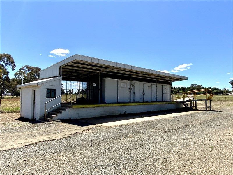 42 Bogan Gate Road, Forbes NSW 2871, Image 1