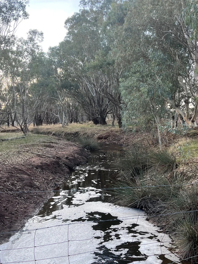 Image 11
