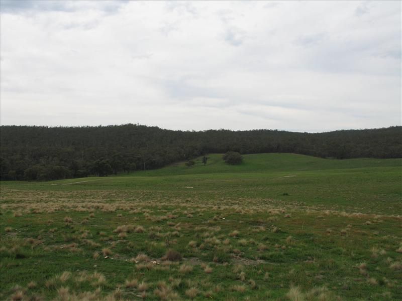72  Wild Cattle Flat Road, Jingera NSW 2622, Image 1