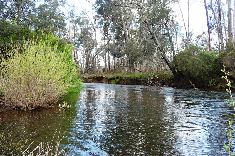 184 Patersonia Road, Nunamara Property History & Address Research