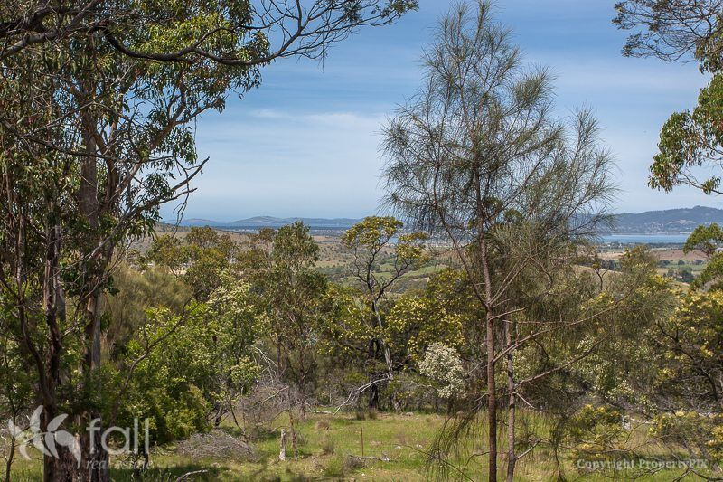 20 Vigar Court, Orielton TAS 7172, Image 0