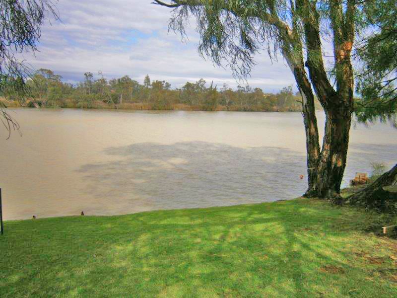 Lot 194 Scotts Creek, Morgan SA 5320, Image 1