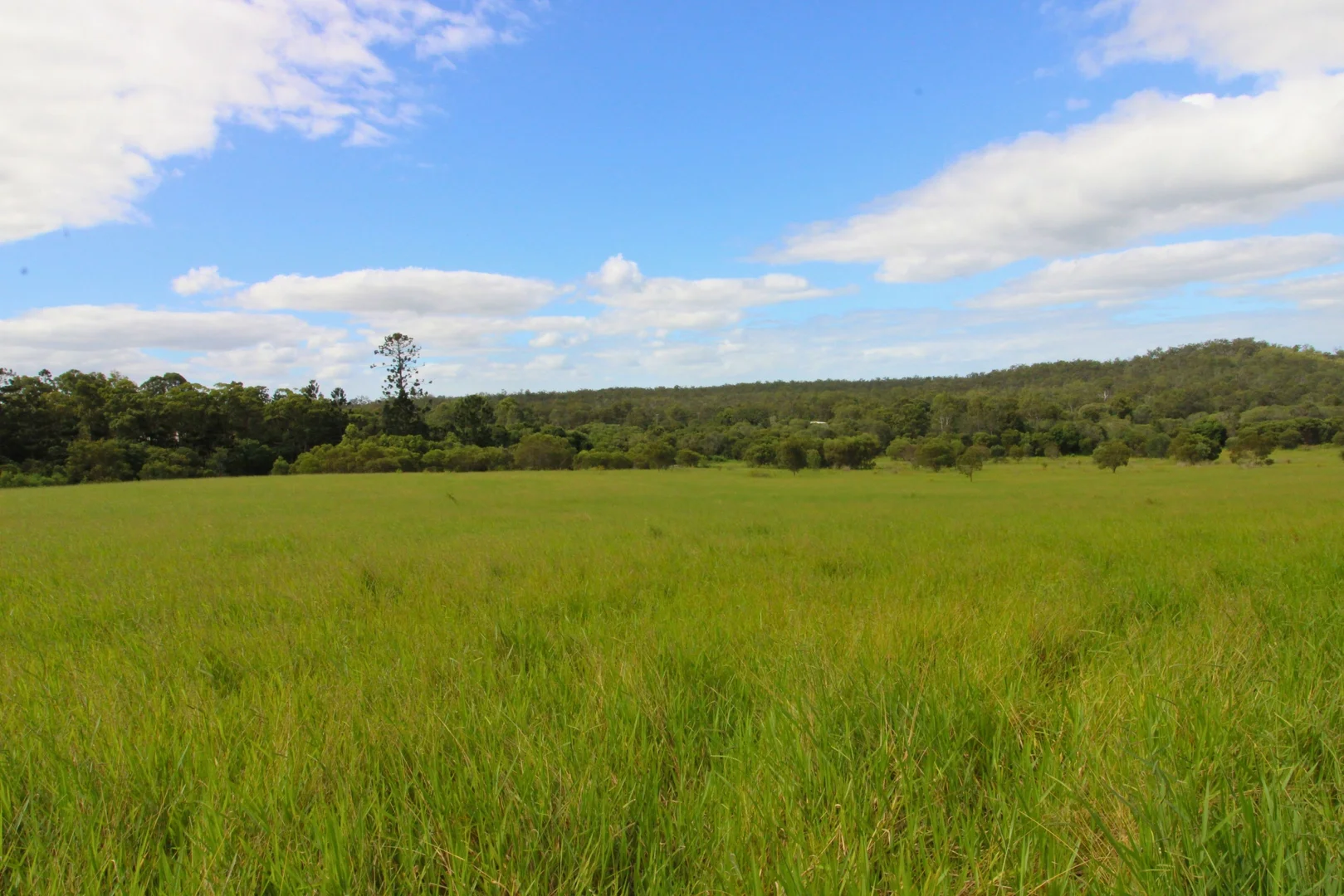 Additional image 5 of Lot 1344 Redhill Farms Road, Redhill Farms QLD 4671