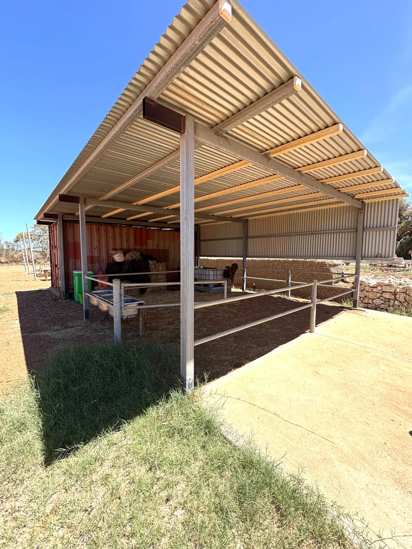 Additional image 45 of 163 Boor Street, Kingsford WA 6701