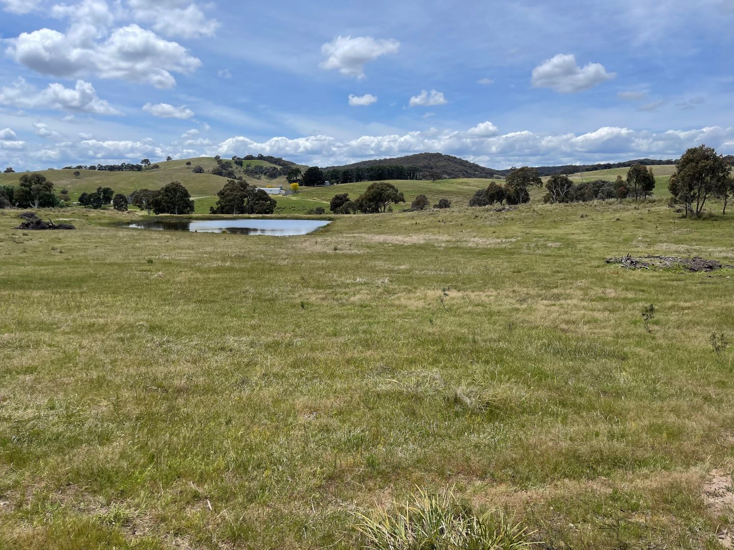 1170 Murrumbateman Road, Nanima Property History & Address Research