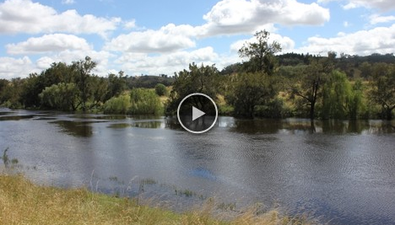 Picture of 'Fernlee' 557 Pindari Dam Rd, ASHFORD NSW 2361