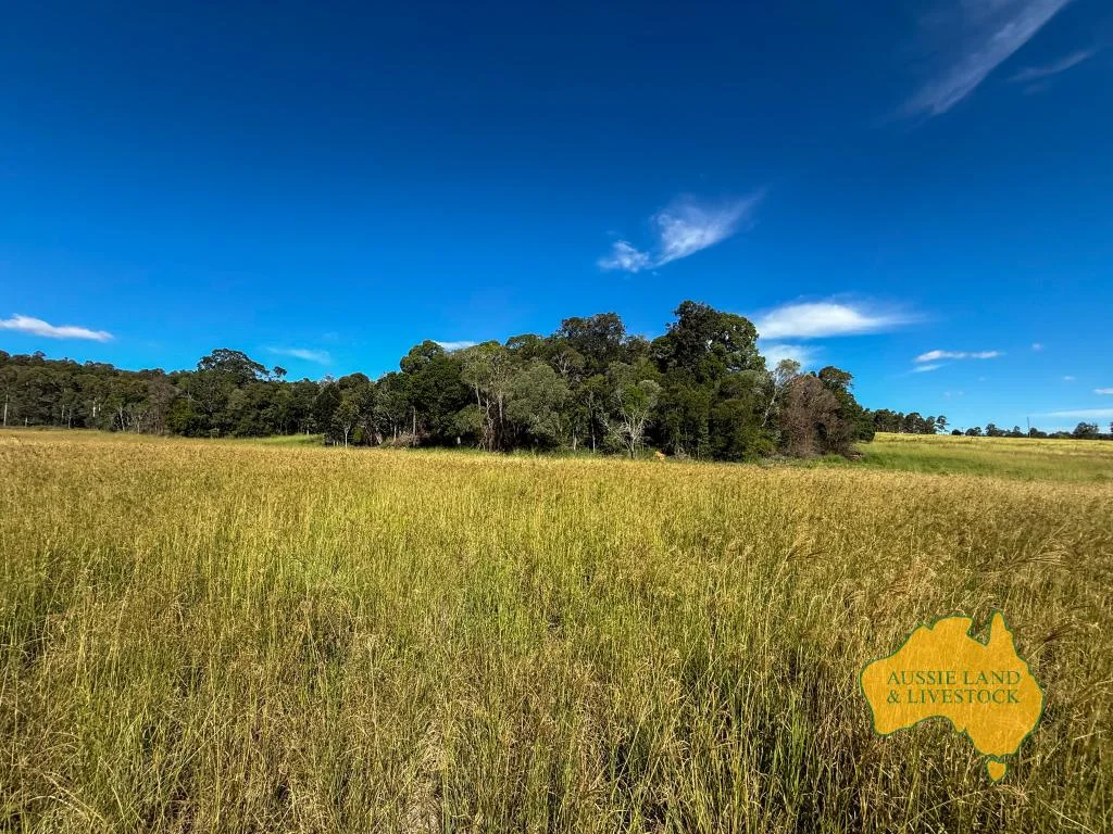 Additional image 13 of 268 Back Creek Road, Stalworth QLD 4613