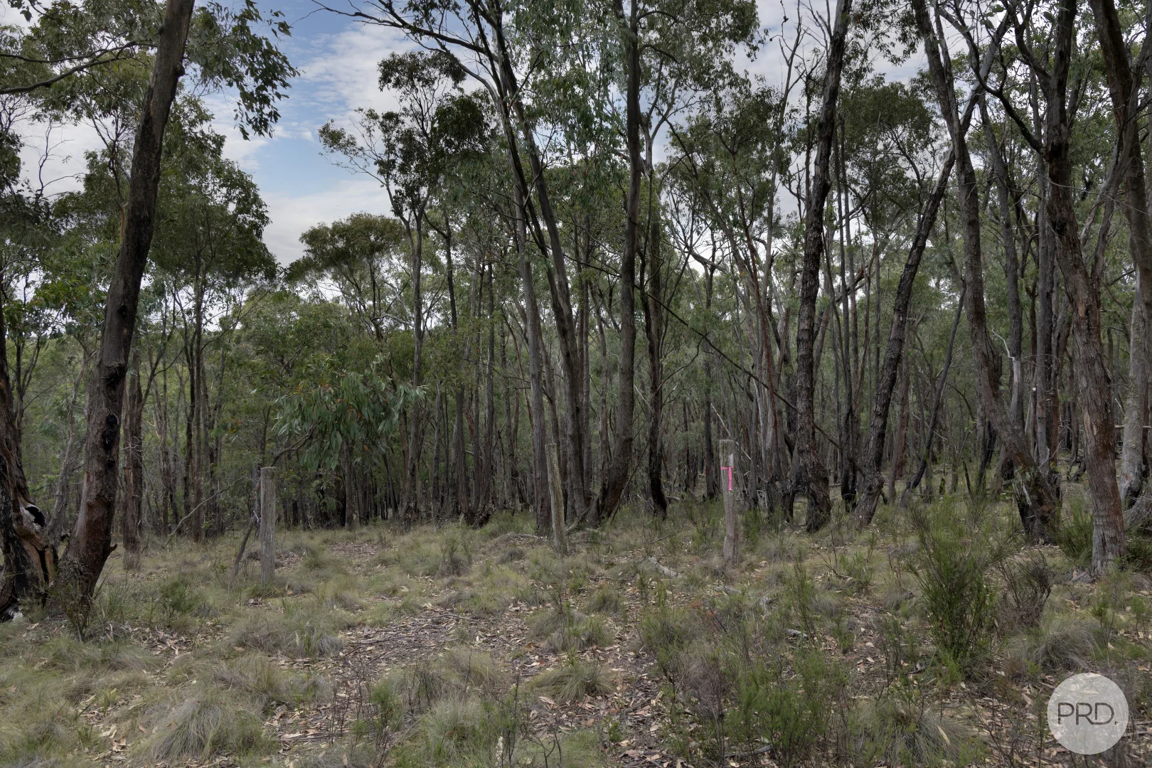 Additional image 6 of Lot 5 Haighs Lane, Snake Valley VIC 3351