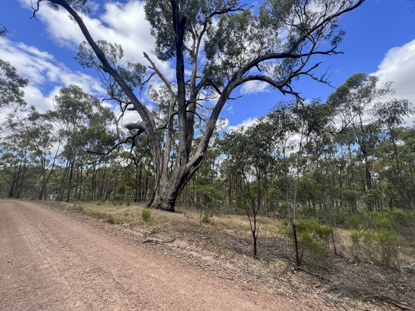 Lot 5 Cassidy Road, Murchison VIC 3610 House for Sale Domain