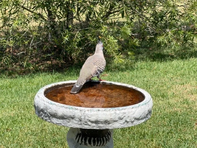 Image 9