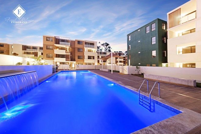 38 New And Off The Plan Apartments For Sale In Box Hill Nsw 2765 Domain