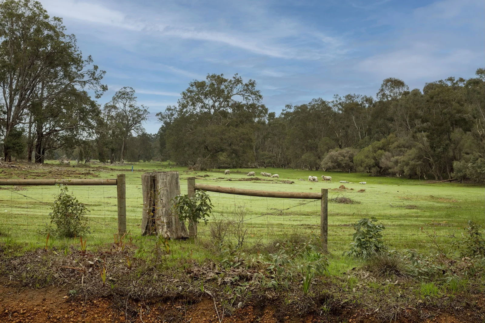 Additional image 6 of Lot 28 Burchardia Cr, Donnybrook WA 6239