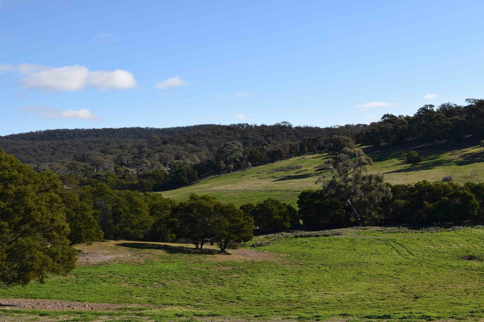 24, 45 Robinson Road, Goulburn NSW 2580, Image 0