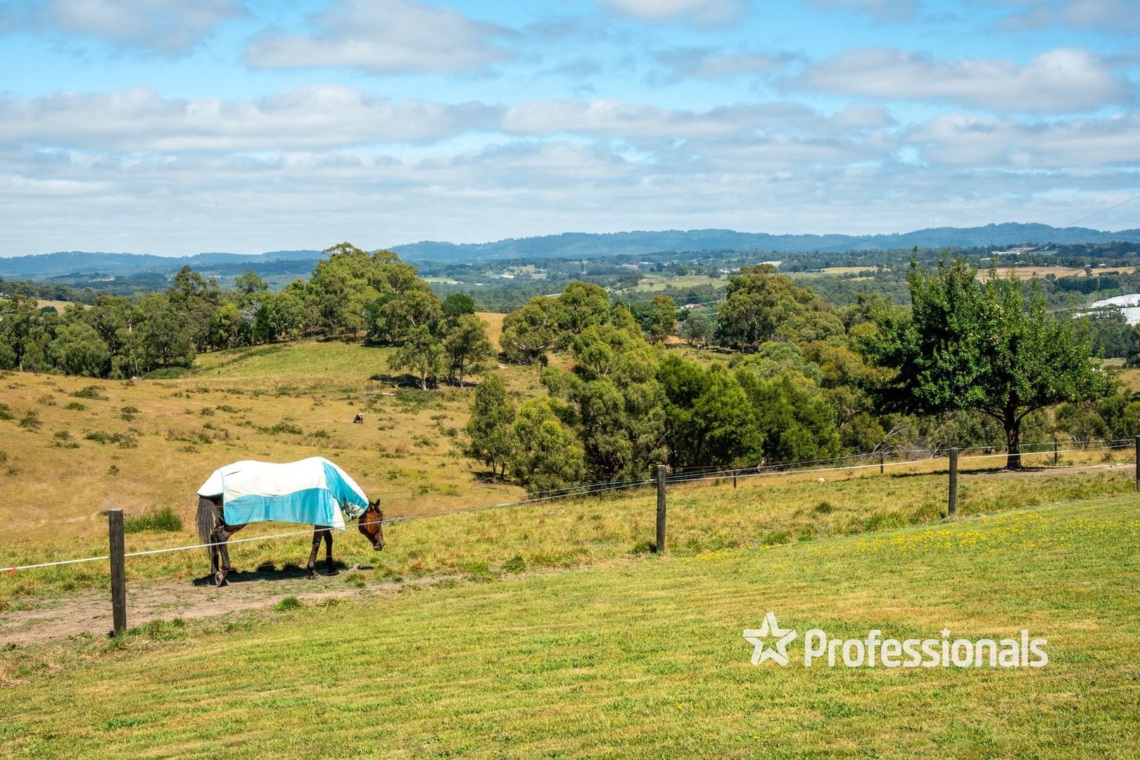 205 Schoolhouse Road, Woori Yallock VIC 3139, Image 1