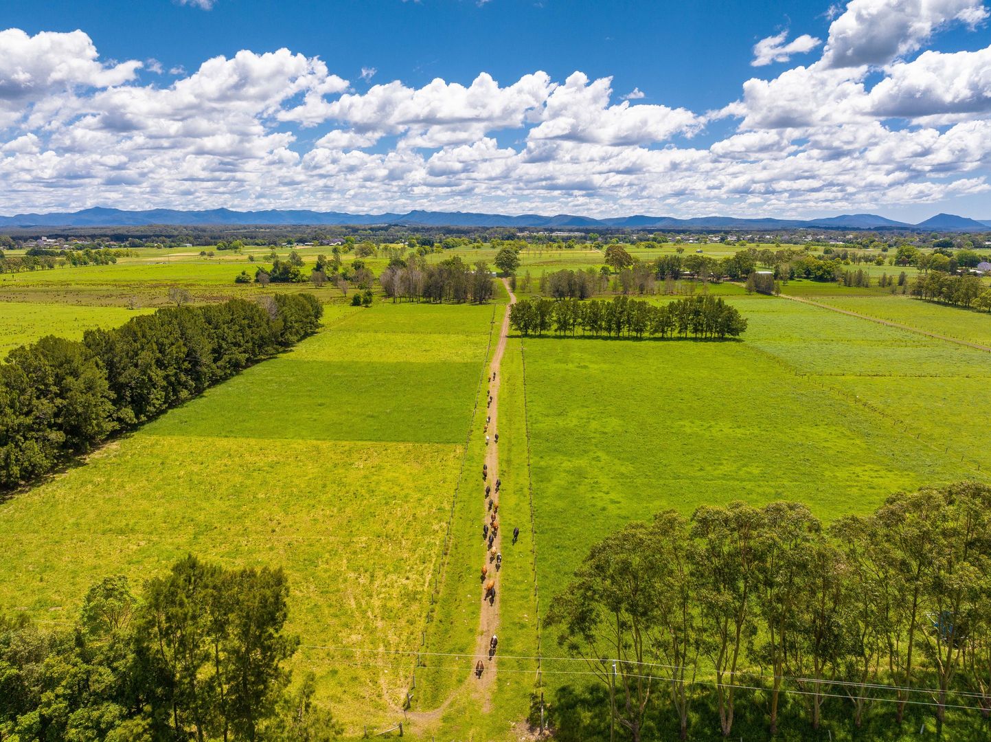 162-newtons-road-dumaresq-island-nsw-2430-house-for-sale-domain