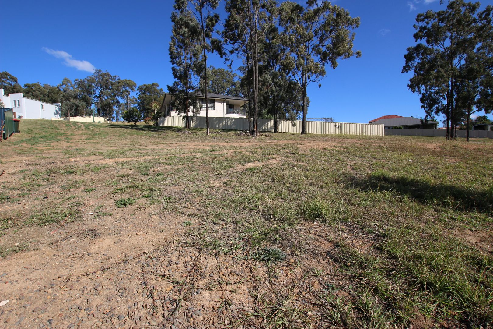 20 Lou Fisher Place, Muswellbrook NSW 2333, Image 1