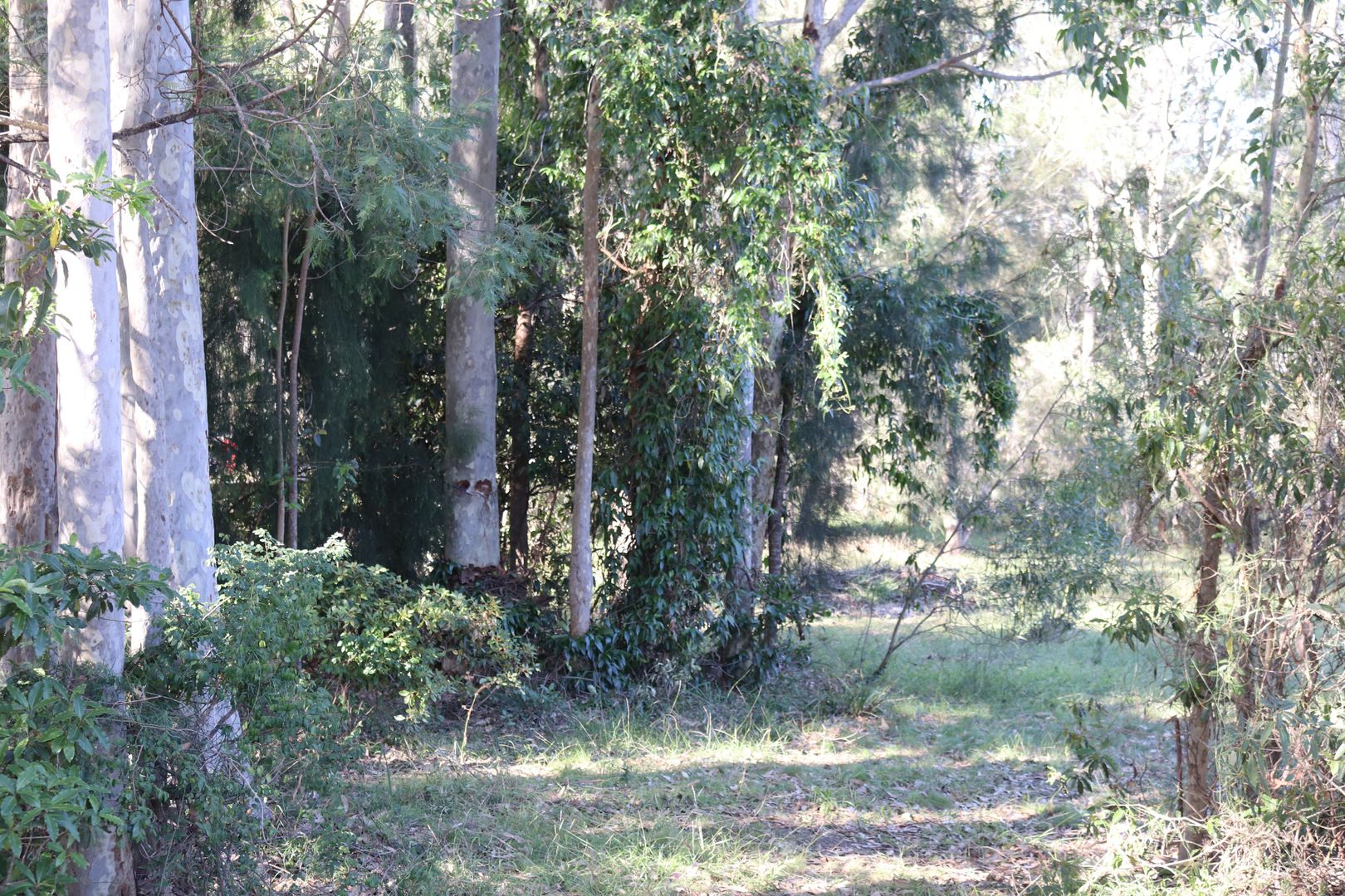 22 Renee Crescent Moruya Heads Nsw 2537 Domain